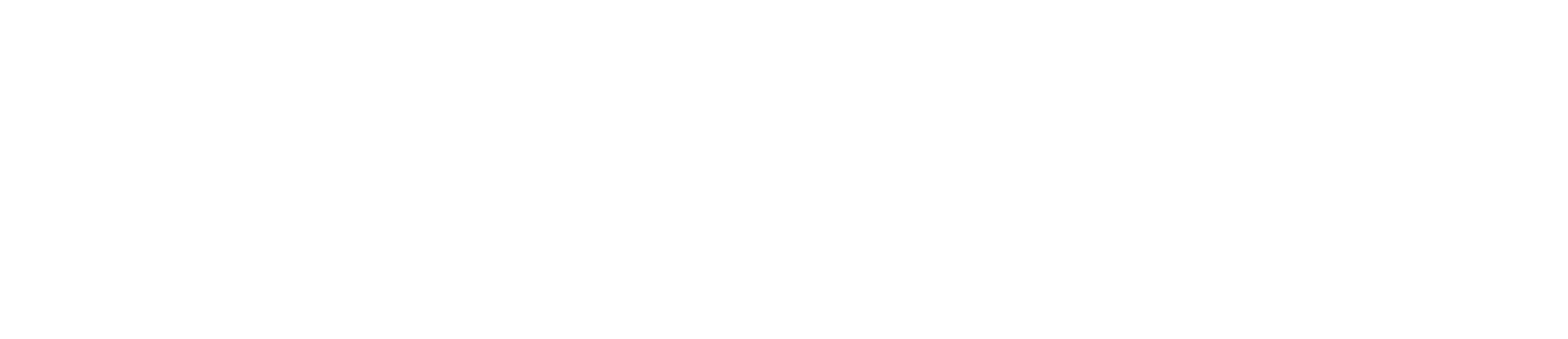 Rightbiometrics logo